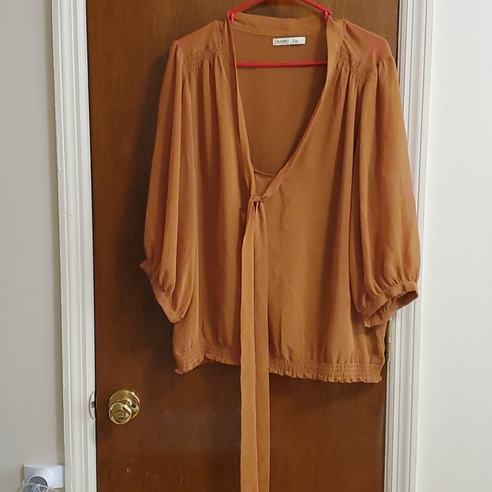 Brown sheer blouse